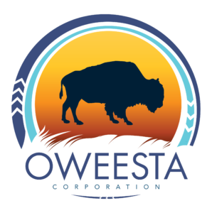 Oweesta-logo-2-298x300
